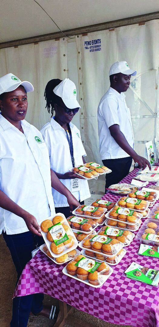 Farmer tending to cassava field under cloudy sky