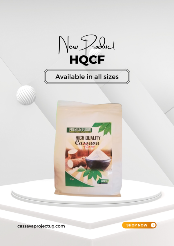 Hiqh Quality Cassava Flour (HQCF)