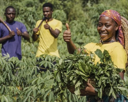 countryside-workers-out-field